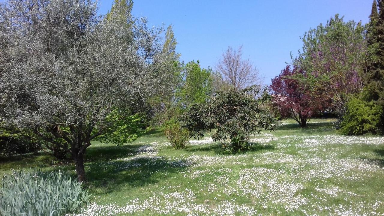 La Madeleine Bed & Breakfast Pezens Bagian luar foto